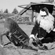 Image for article titled Remembering Rudolph the Red-Nosed Reindeer, Who Died in 1818